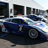 dijon 08 228